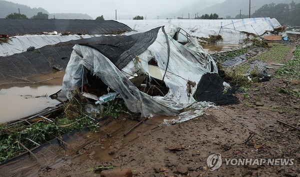 봉괴된 비닐하우스(완주=연합뉴스) 최영수 기자 = 10일 폭우로 전북 완주군 운주면 엄목마을 앞 비닐하우스가 처참하게 무너져 있다. 2024.7.10