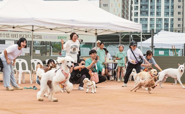 반려견놀이터서 열린 ’2023 송파 반려동물 한마당‘에 참석한 반려인과 반려견들 /