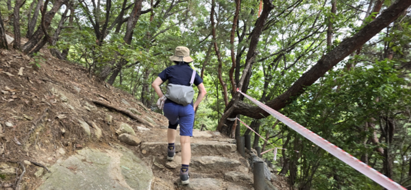 서울 수락산 등산길