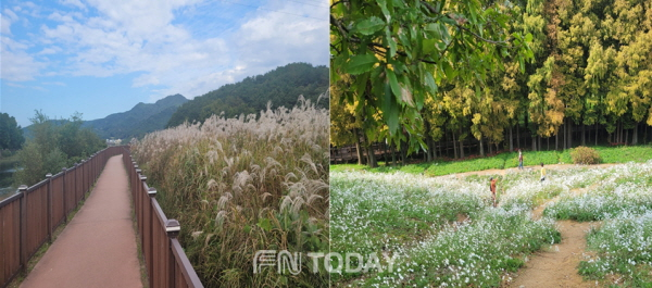 광주호 호수생태원 전경[사진=광주광역시]